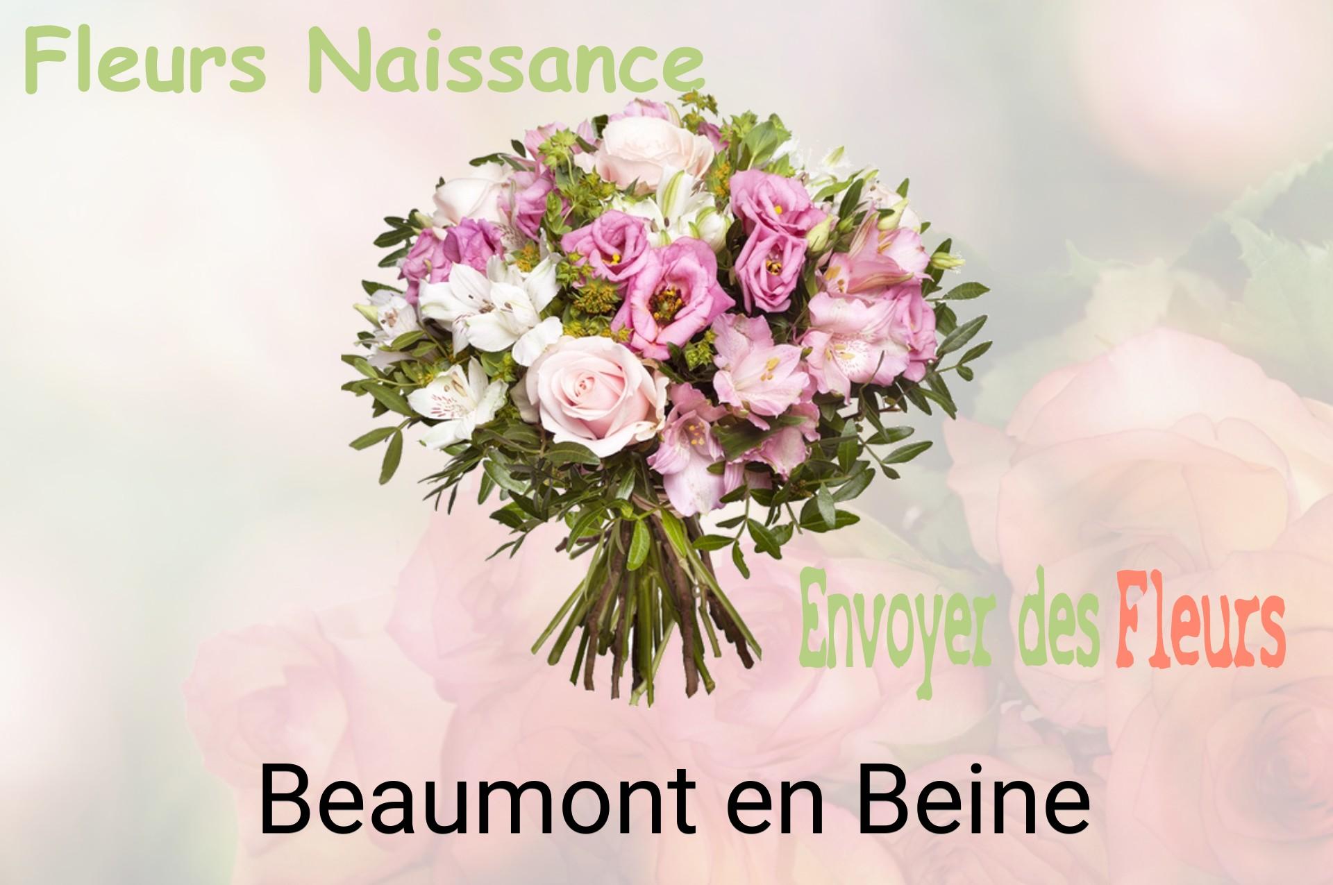 Bouquet de fleurs de naissance livré à Beaumont-en-Beine